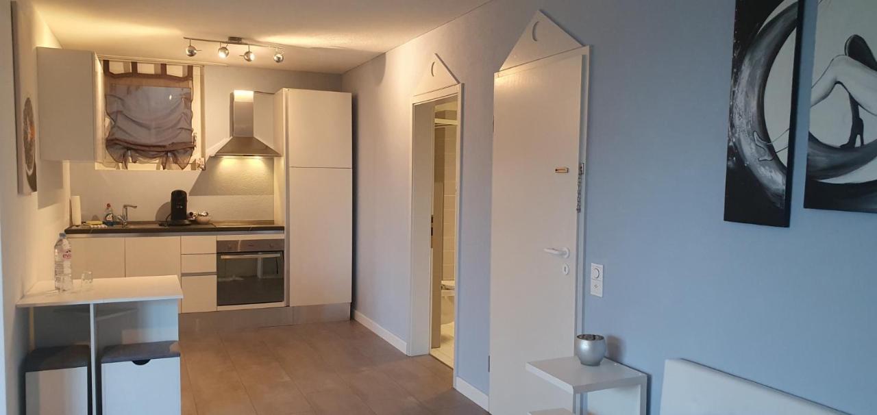 Rorschacherberg Ferienwohnung Am Bodensee Mit Seesicht Und Wellness מראה חיצוני תמונה